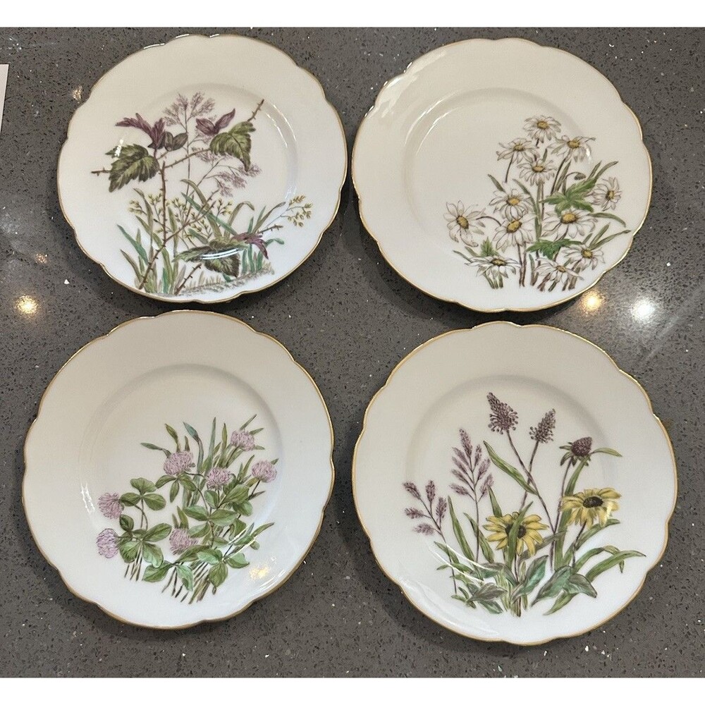 4 Antique Limoges Haviland H&C L Plates Handpainted Wild Flowers Gilt 1876-89